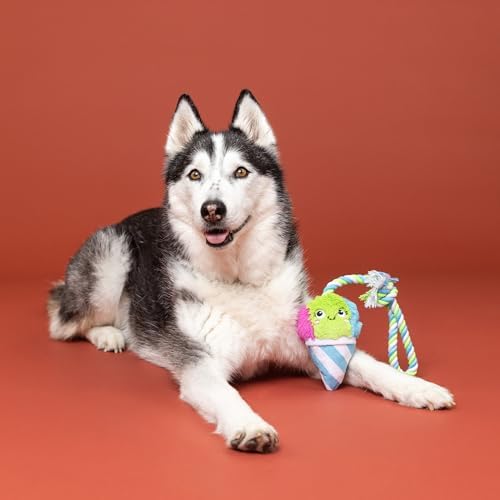 Fringe Studio Plush Dog Toy with Rope, Cone-FIDENCE is Yummy, Pet Shop Collection (314528)