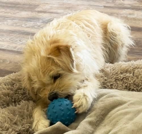 Challenging Treat-Dispensing Ball for Pigs Piglets Dogs Rabbits Cats and Other Small Animals – Mental Stimulation and Playtime Fun