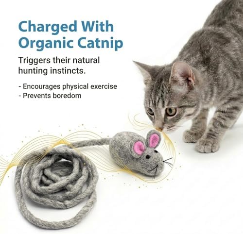Glaciart One Felt Mouse Cat Toy – Soft Fuzzy Enrichment 100% Natural Wool - Interactive Catnip Play Cat Toy Set - Safe for Pets, Non-AZO Colored Dyes - 100” Long