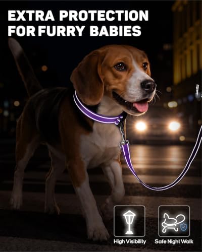 Padded Dog Collar with Waterproof Holder Compatible with Airtag