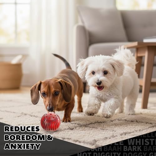 Pet Qwerks Blinky Babble Ball - Flashing Interactive Chew Dog Toy - Small