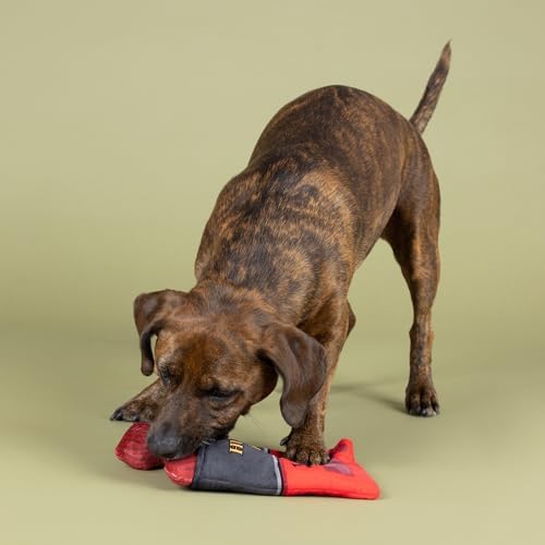 Fringe Studio Plush Dog Toy, Snack Attack, Hide & Seek Interactive Pet Toy, Pet Shop Collection (289228)