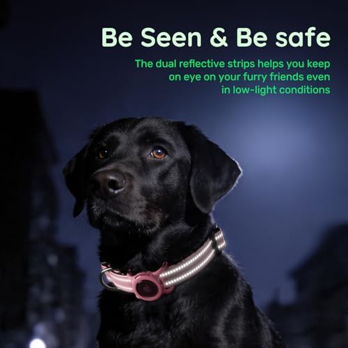 Reflective Dog Collar with AirTag Holder, Waterproof Dog Collar with QR Code, Heavy Duty Adjustable Pet Collar for Small Medium Large Dogs, Pink