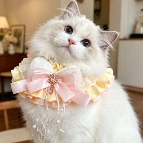 Cat Dog Lace Bow Collar Luxury Elastic Neckline (#6)