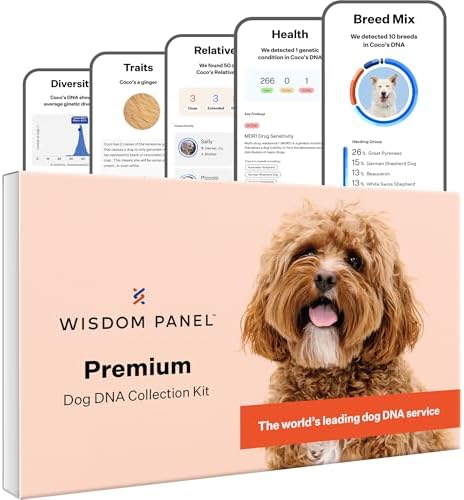 Wisdom Panel Premium Dog DNA Testing Kit - Most Comprehensive Test - 265+ Health Tests, 430+ Dog Breeds, 50+ Traits, Relatives, Ancestry, 1 Pack