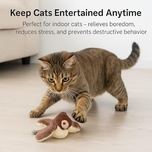 Flapping Bird Cat Toy, White Faced Sparrow