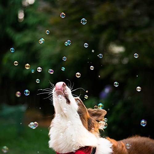 Pet Qwerks Incredibubbles Interactive Pet Toys - Long Lasting Edible Bubbles for Dogs & Cats - Peanut Butter Flavor - 38 ML, All Breed Sizes (Pack of 2)