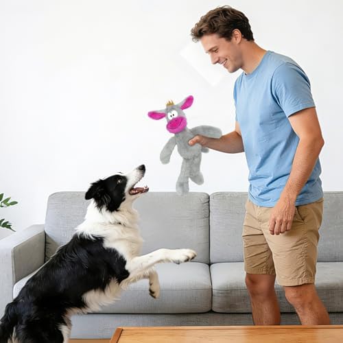 Squeaky Plush Dog Toy for Small & Medium Breeds