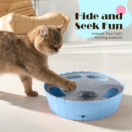 Pawaboo Interactive Cat Toy with Running Mouse, Automatic Track Kitten Toy | Electronic Motion Cat Toy for Indoor Cats, Pop and Play Hide Seek Cats Toys Hunting Mouse for Kitty Play Exercise, Blue