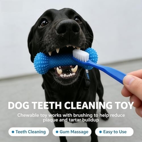 Tug Rope Dog Dental Chew Toy, Food Grade Silicone Spiky Bone Teeth Cleaning