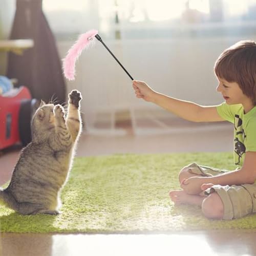 Hypeety Interactive Cat Toys Feather Wand Teaser Cat Wand Feather Rod with Bells for Indoor Cat Kitten Fun Interactive Toys 2pcs (Random Color)