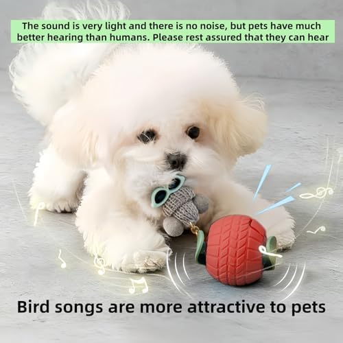 Nicbeypole Intelligent pet Toy Ball, Used for Interactive Chasing of Cats or Dogs, with Battery Display on the Screen, can be remotely Turned Off, Equipped with Bird Songs, self Entertainment (Rad)