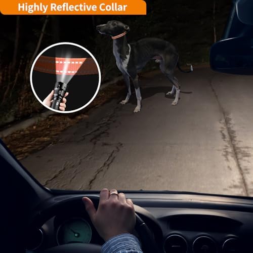 Shock Collar Replacement Strap, 3/4 Inch, 2-Pack, Reflective Adjustable Dog Collar, 8-27 Inch Neck Size