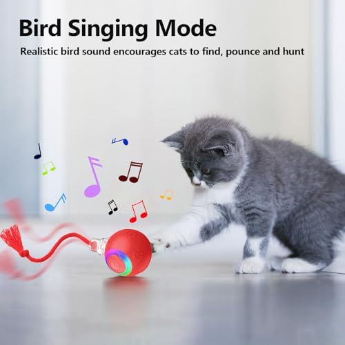 Moving Pet Ball, Cat String Toy for Indoor Cats & Small Dogs | juguetes para gatos|chirping bird cat toy|motion activated cat toy|cat toys for bored indoor adult cats