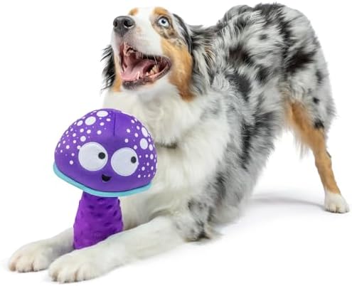 Huxley & Kent Power Plush Squeaky Dog Toy, Mellow Mushroom, Large