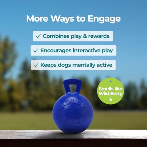 Jolly Pets Tug-n-Toss Dog Toy Ball with Handle, 8 Inches/Large, Blue
