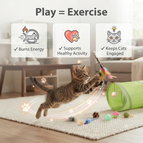 Cat Toys Variety Pack for Indoor Cats, 21PCS Interactive Kitten Toys Set with Collapsible Cat Tunnel, Feather Teaser Wand, Plush Mice, Balls & Cat Toys for Kittens and Adult Cats