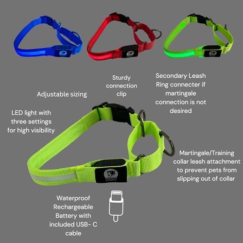 Light-Up Martingale Training Adjustable Dog Puppy Collar - REMIPET - Waterproof, LED Illuminated, USB Rechargeable, Reflective Safety, Durable, Nylon, Gift (Blue, Medium)