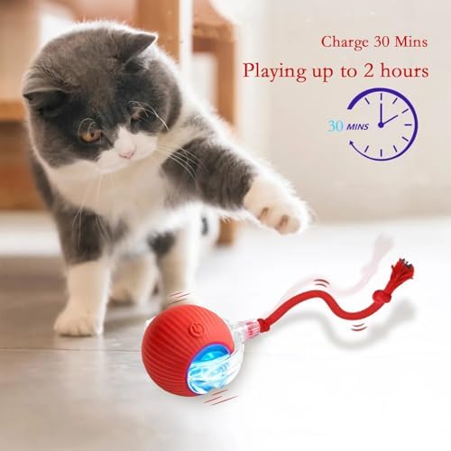 Automatic Interactive Cats Toy Ball for Indoor Rechargeable Self-Rolling