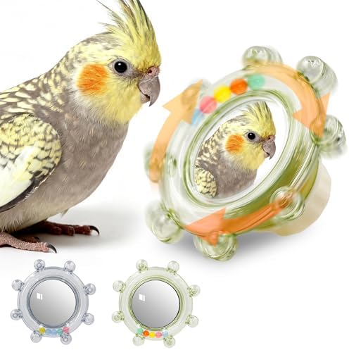 2Pcs Innovative Bird Toy with Mirror, Spinner Toy with Rustling Beads