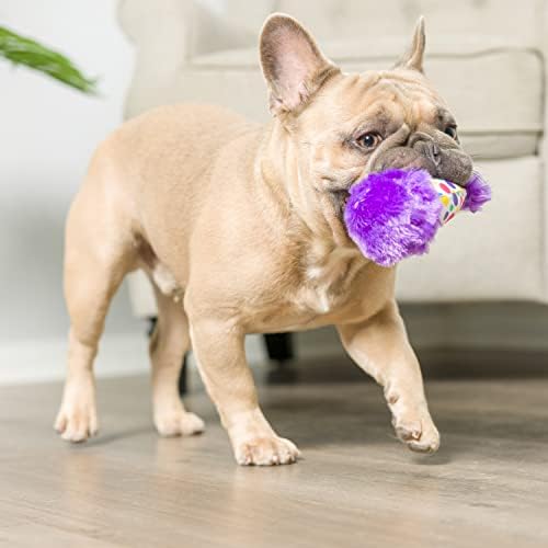 Huxley & Kent Tiny Tuff Plush Dog Toy, It's My Barkday (2 Pack)