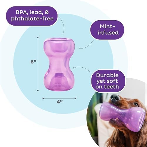 Outward Hound Double Snoop Interactive Treat Dispensing Dog Toy, Purple, 6" | Rolls & Bounces, Treat Stuffer, Puzzle Ball & Slow Feeder, Enrichment, Mint Scented, Easy Clean, No BPA, Medium to Large Dogs