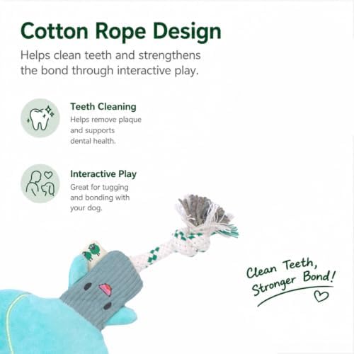 Green Sheep Interactive Plush Dog Toy, No Stuffing Squeaky Toy with Recycled Cotton Rope for Medium to Large Dogs, Chew Toy, Asparagus