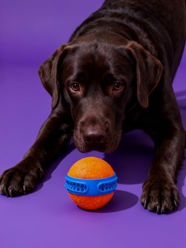 Dog Rubber Ball Dog Toy, Tennis & Puzzle Toy with Treat Dispenser for Aggressive Chewers, Teething Puppies and Interactive Play
