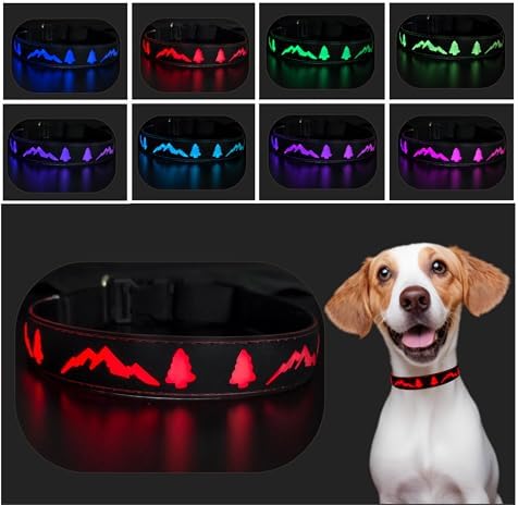 Personalized Light up Dog Collars Rechargeable with Waterproof airtag Holder for Black Dog Night Walking (Black Collar 15 Modes Lighting, XL(19.7-23.6"))
