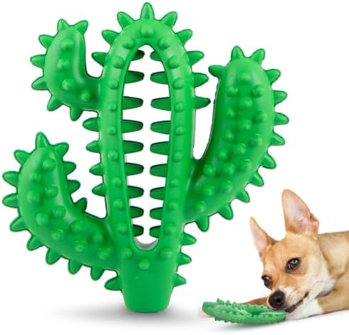 Jeffers Pet Natural Rubber Dog Chew Toy – Green Dental Cactus, Medium – Vanilla Scent, Durable, Non-Toxic, Dishwasher Safe, Interactive Fetch, Tug Toy & Dental Play - Perfect for Training