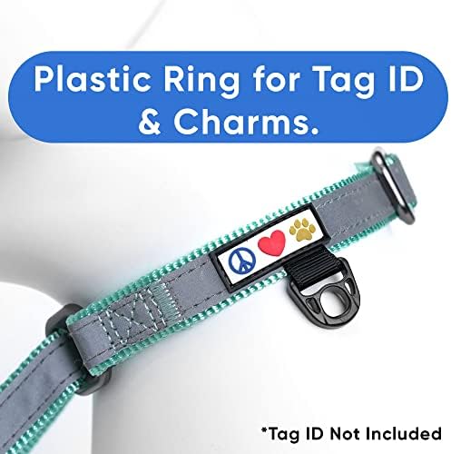 Pawtitas Personalized Dog Collar Martingale Dog Collar with Name Phone Number Reflective Martingale Dog Collar Customized Collar for Small Dogs | Teal Custom Dog Collars for Small Dogs