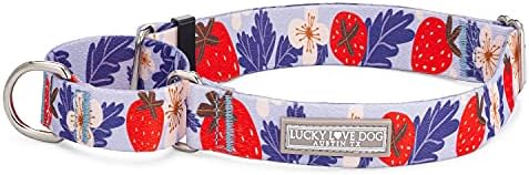 Lucky Love Dog Martingale Collar for Small Dogs Cute – Sweet Berry, Small