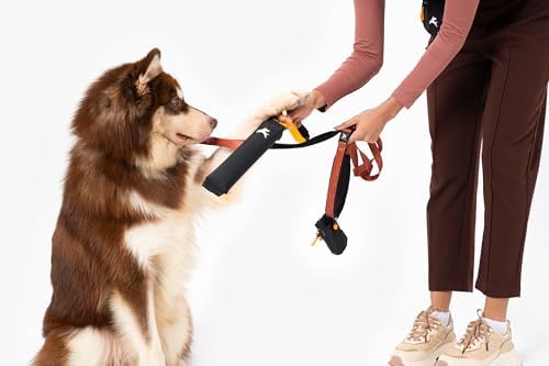 OllyDog Tugger | Dog Tug Toy for Tug of War & Training | Durable Bite Pillow | Eco-Friendly Recycled | Handle | Medium Large Dogs (Raven)