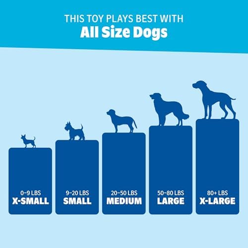BarkBox A.R.F Dog Toy - Fun for Dogs