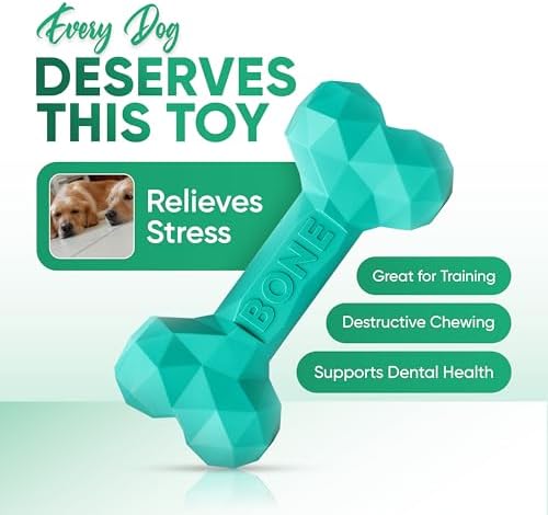 Natural Rubber Dog Toys for Small Dogs & Puppies - Durable Dental Dog Bone Toy for Indoor & Outdoor Play - Interactive Tough Teething Toy for Boredom Relief - For 25 lbs Small Dogs (Turquoise)