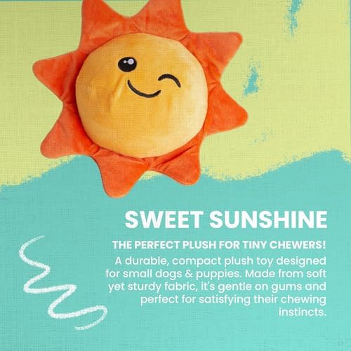 SnugArooz: Sweet Sunshine - 2-in-1 Dog Toy, Ball Hidden in The Plush, Soft Sun Character, Squeak-Crinkle, Pet Multi-Sensory Play, Cuddle-Fetch-Chew