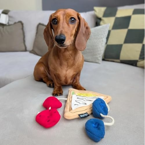 CHEWFFON Crepe Snuffle Dog Toy, Interactive Play with Treat Pockets