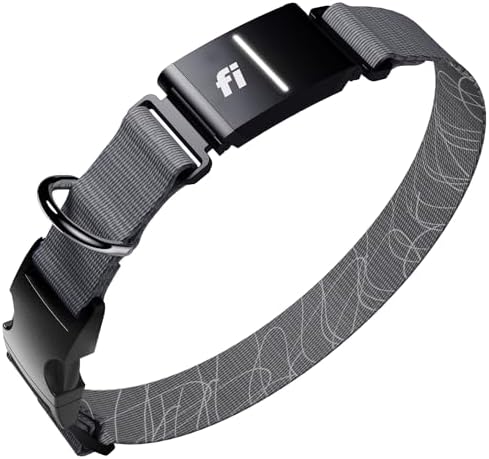 Fi Series 3+ GPS Dog Collar Large Gray, Tracker with 6-Month Plan | Waterproof build, LED safety light, escape alerts, nationwide coverage, iOS and Android app, activity monitoring