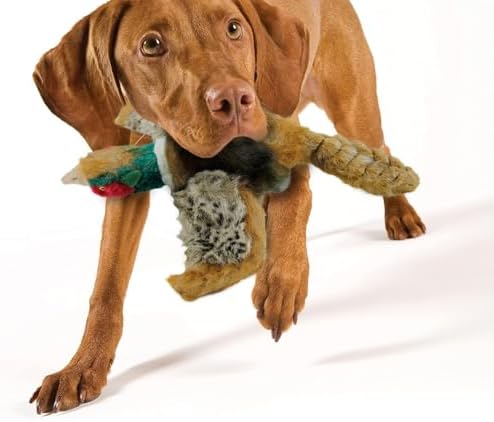 ALL FOR PAWS Dog Interactive Pheasant Toys, Squeaky Dog Toys, Stuffed Animal Dog Hunting Plush Toy, Large