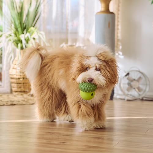 SPOT Treat Tumbler Broccoli – Freezable & Fillable Treat Dispensing Dog Toy for Small & Medium Dogs, Silicone, Easy to Clean, Interactive, Holds Small Kibble & Soft Snacks, 4.38 in