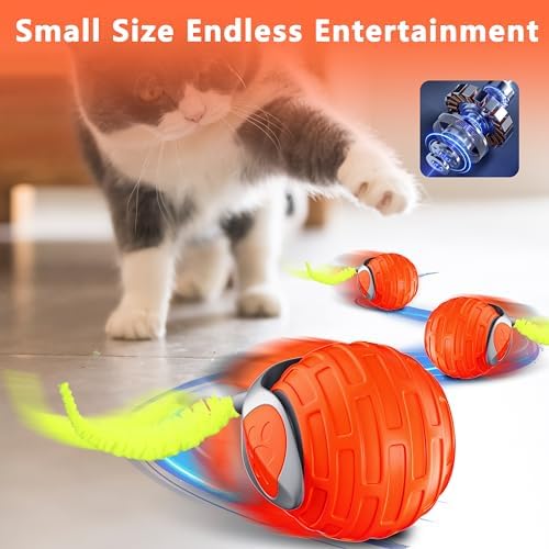 Cat Toys,Interactive Cat Toys Ball for Bored Indoor Cat,Orange