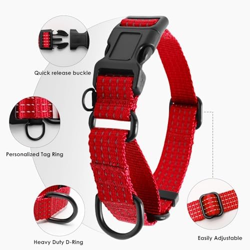 Martingale Dog Collar, Reflective No Pull with Buckle, Red, M