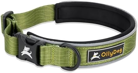 OllyDog Flagstaff Reflective Comfort Collar, Neoprene Padded Dog Collar, Reflective Trims for Night Runs, Extra Comfort for Active Dogs (Small, Cactus Woodgrain)