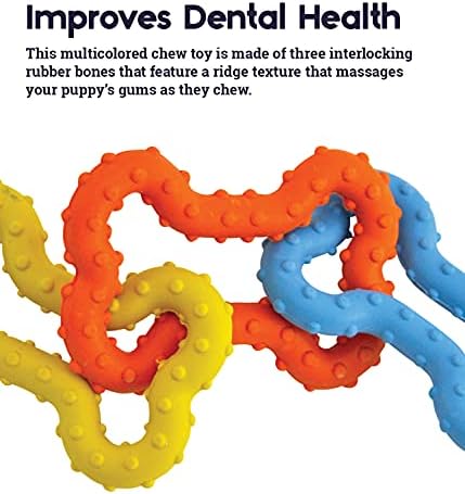 Pupstages Mini Bone Tug Dental Dog Chew Toy, Floppy & Textured, 6.3"