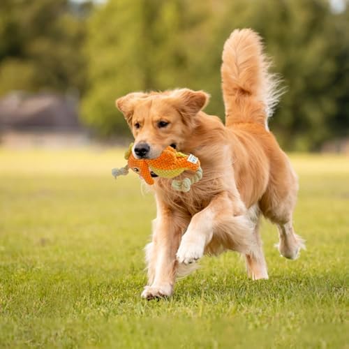 Cute Marine Animal Dog Squeaker Chew Toys, Orange Seahorse