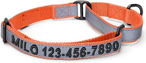 Pawtitas Customized Martingale Dog Collar Reflective Reflective Dog Collar Embroidered Personalized Name Phone Number Adjustable for Puppies Small Medium Large Size Dogs Medium Orange