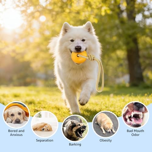 SCENEREAL Floating Dog Pool Toys - Ball on Rope Fetch and Tug-of-War Toy for Medium Large Dogs Outdoor Training, EVA Rubber Water Pet Interactive Toys for Summer Beach, Yellow