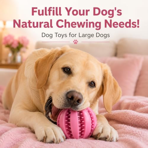 GASHIK Dog Treat Ball for Dogs, Rubber Dental Chew Toy for Dogs
