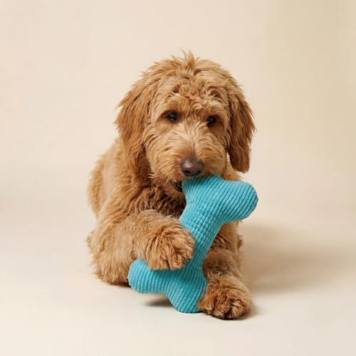 Playology Durable Plush Bone Toy- Crinkle Bone - Jumbo,Peanut Butter Scent