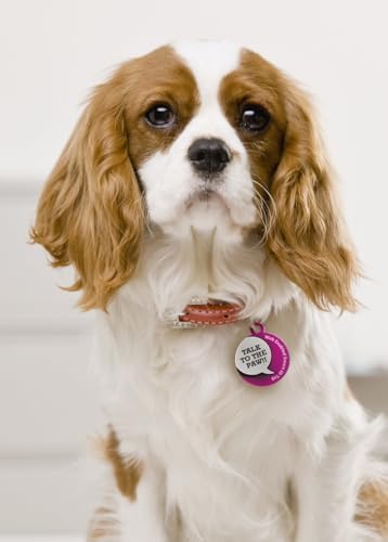 Dynotag® Web Enabled Super Pet ID Smart Tag with DynoIQ™ & Lifetime Recovery Service. Play Series: Round (Talk to The Paw)